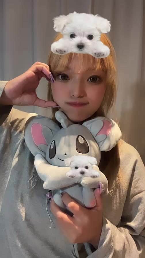 湯上響花のインスタグラム：「全肯定LIVE☘️寒くなってきたから暖かくしてご自愛してね！🩷」