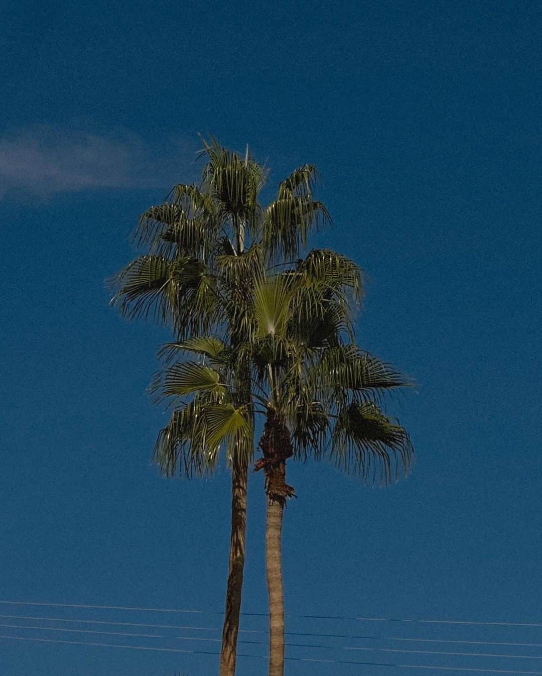 ジュリー・サリニャーナさんのインスタグラム写真 - (ジュリー・サリニャーナInstagram)「Just dinin’ at a diner in Palm Springs. 🌴  #palmsprings #palmspringsstyle #acehotel #diner」11月20日 1時38分 - sincerelyjules