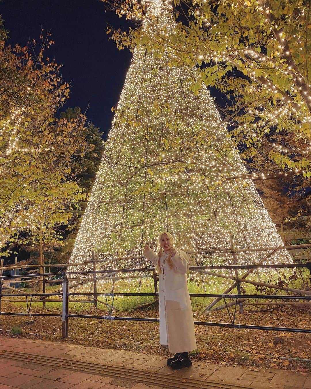糸原沙也加さんのインスタグラム写真 - (糸原沙也加Instagram)「🌲普通に撮ってもらおうと思ったけど  「あ。待って、飛ぶわ！」 と思いつき  ジャーーンプ！💨 して満足\(◦˙-˙◦)/  の流れ📸✔️  #いとっちと過ごしたら」11月20日 1時57分 - sayaka_itohara