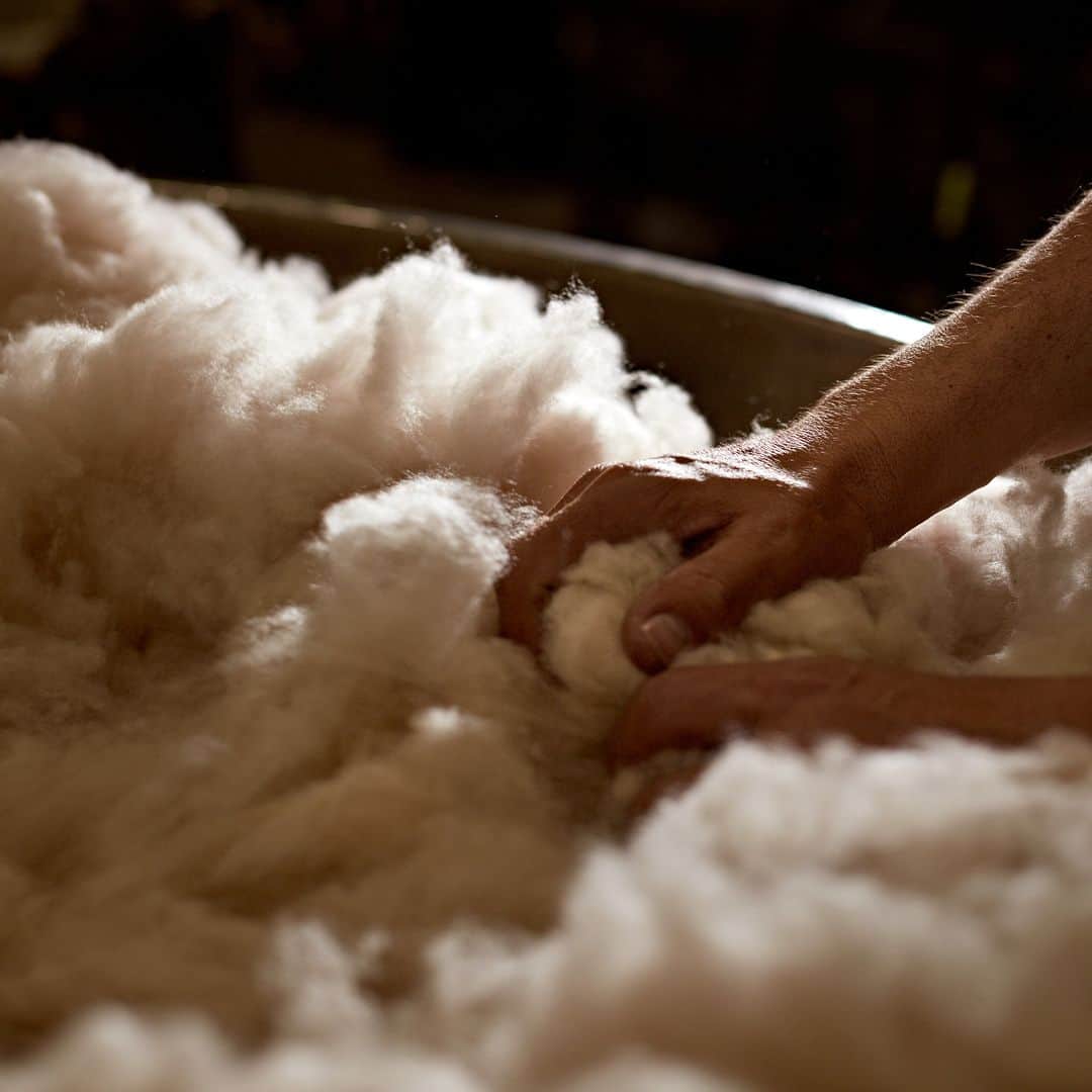 Johnstonsのインスタグラム：「We’ve been working with the world’s finest natural materials for over 225 years. Combining gentle manufacturing processes and soft Scottish water, we protect our delicate fibres to create products that last. We are proud members of the Sustainable Fibre Alliance, supporting budding herders to combine modern sustainability theories with traditional herding methods.  ⁣ ⁣ ⁣ ⁣ ⁣ ⁣ ⁣ ⁣ #ConsciousCashmere #cashmerewithaconscience #JohnstonsOfElgin #SFA #Cashmere」