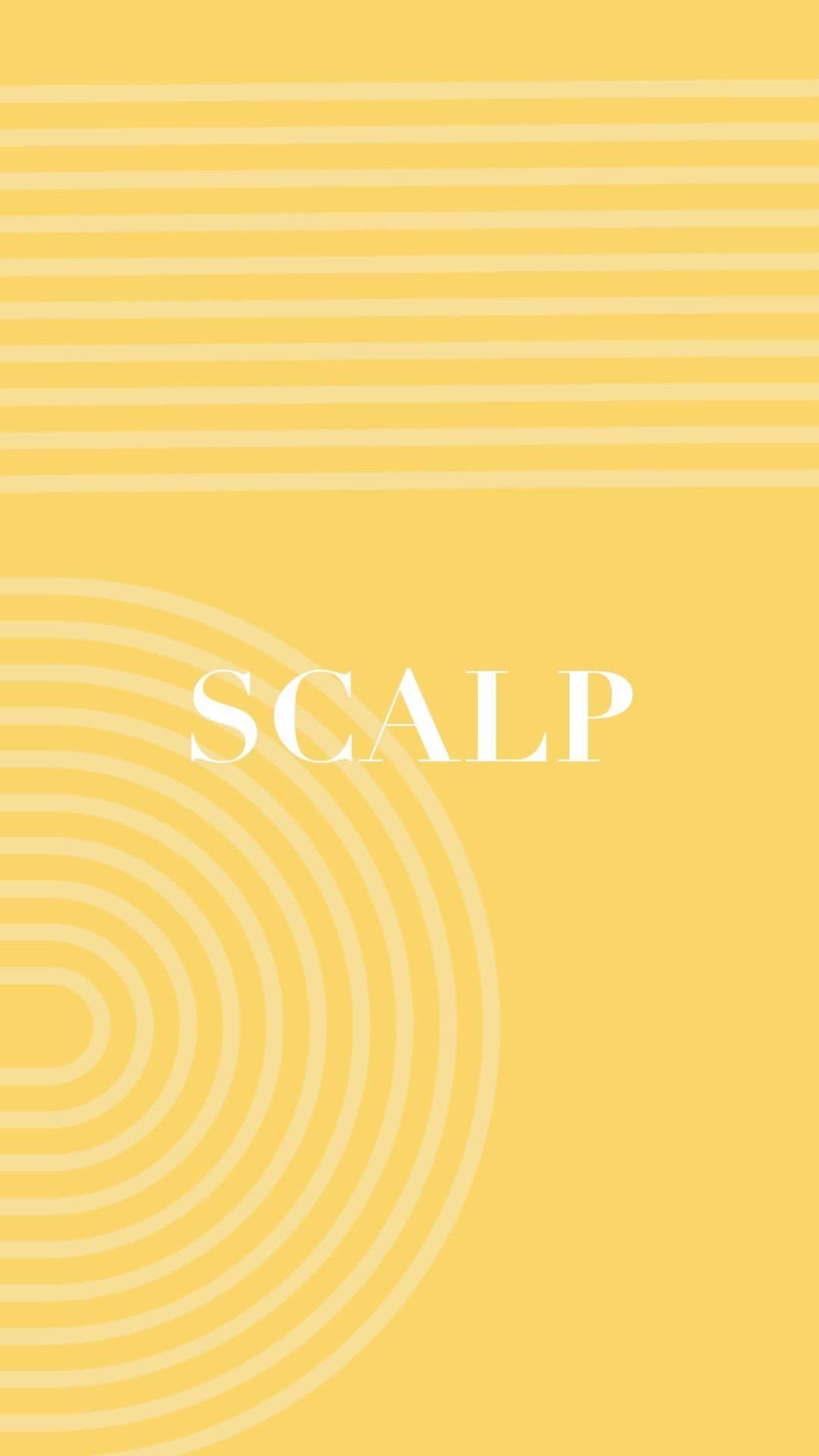 のインスタグラム：「Introducing #ScalpCareSunday @tphbytaraji’s creative platform to marry scalp health & mental wellness 💛  I created the Scalp Care Collection because I knew the products were a necessity.  #ScalpCareSunday represents us taking the time to reset our intentions & pamper ourselves from the scalp down! 💆🏾‍♀️💆🏾‍♀️💆🏾‍♀️  Join me on this journey and share your #scalpcaresunday #wewriteourownstory」