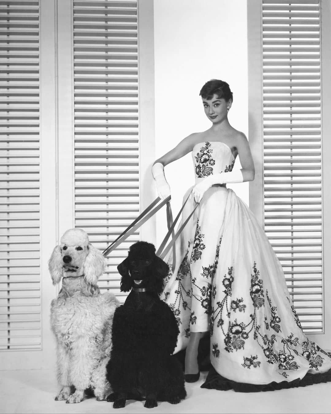 Vogue Runwayのインスタグラム：「Hubert de Givenchy was just 24 when he founded his own maison in 1952 after working on boutique collections for Elsa Schiaparelli. The aristocratic designer’s association with Audrey Hepburn, which has come to define the house, started in 1953. Now, making all things archival Givenchy from way back when to today imminently more accessible is the latest book in Thames & Hudson’s "Catwalk Collections." The tome is co-authored by curator Alexandre Samson and journalist and Vogue contributor Anders Christian Madsen, who tackled the collections from 1952 to 2000 and 2001 to now, respectively. Tap the link in bio for a look inside the book, and discover the co-authors' favorite collections.」