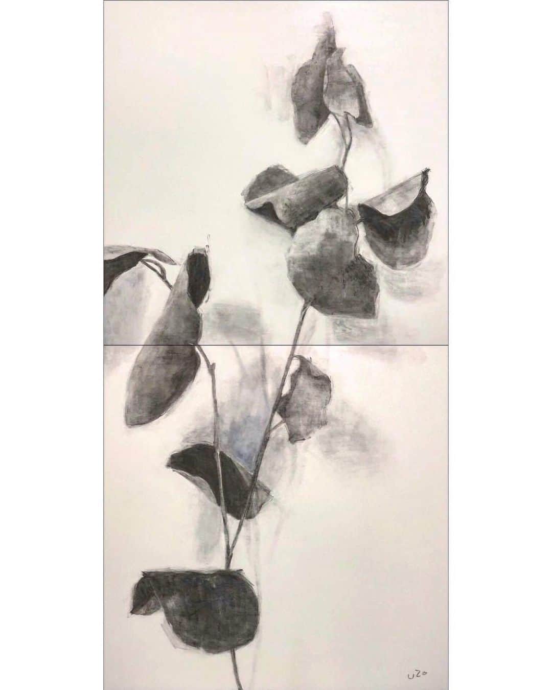 Uzo Hiramatsuさんのインスタグラム写真 - (Uzo HiramatsuInstagram)「past work(2018) #painter #Japan #fukuoka #contemporaryart #painting #drawing #mixedmedia  #墨 #水墨 #水墨画」11月20日 3時42分 - uzo_hiramatsu
