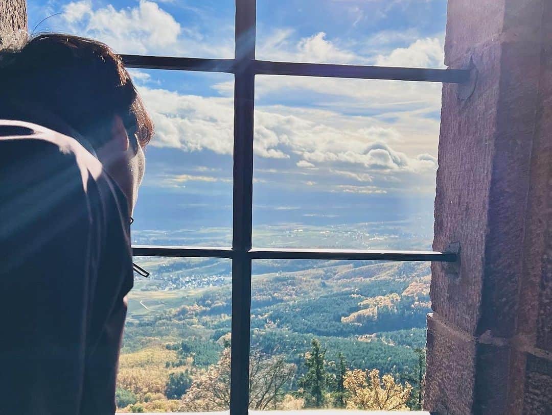 原口元気さんのインスタグラム写真 - (原口元気Instagram)「Elsass」11月20日 4時54分 - haraguchi_genki_official