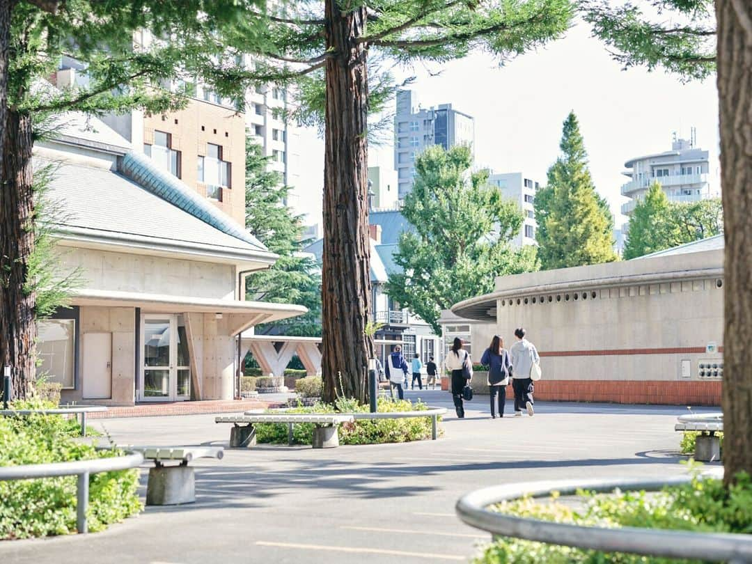 Meiji Gakuin/明治学院大学/明学さんのインスタグラム写真 - (Meiji Gakuin/明治学院大学/明学Instagram)「10月から11月にかけて、 季節の移り変わりが分かる写真をお届け🍁  10月と比べて、紅葉が進み始めてきましたね。 秋冬のキャンパスもぜひ楽しんでくださいね😉  今週もがんばりましょう！  #明治学院大学 #白金キャンパス #白金 #秋学期 #秋学期もがんばろう #秋 #紅葉 #明学 #明治学院 #明学人 #勉強 #記念館 #大学 #授業 #明学生 #メイガク #明学ライフ #大学生活 #mgu #meijigakuinuniversity #meijigakuin #meigaku #photography #photographer」11月20日 11時00分 - mguniv