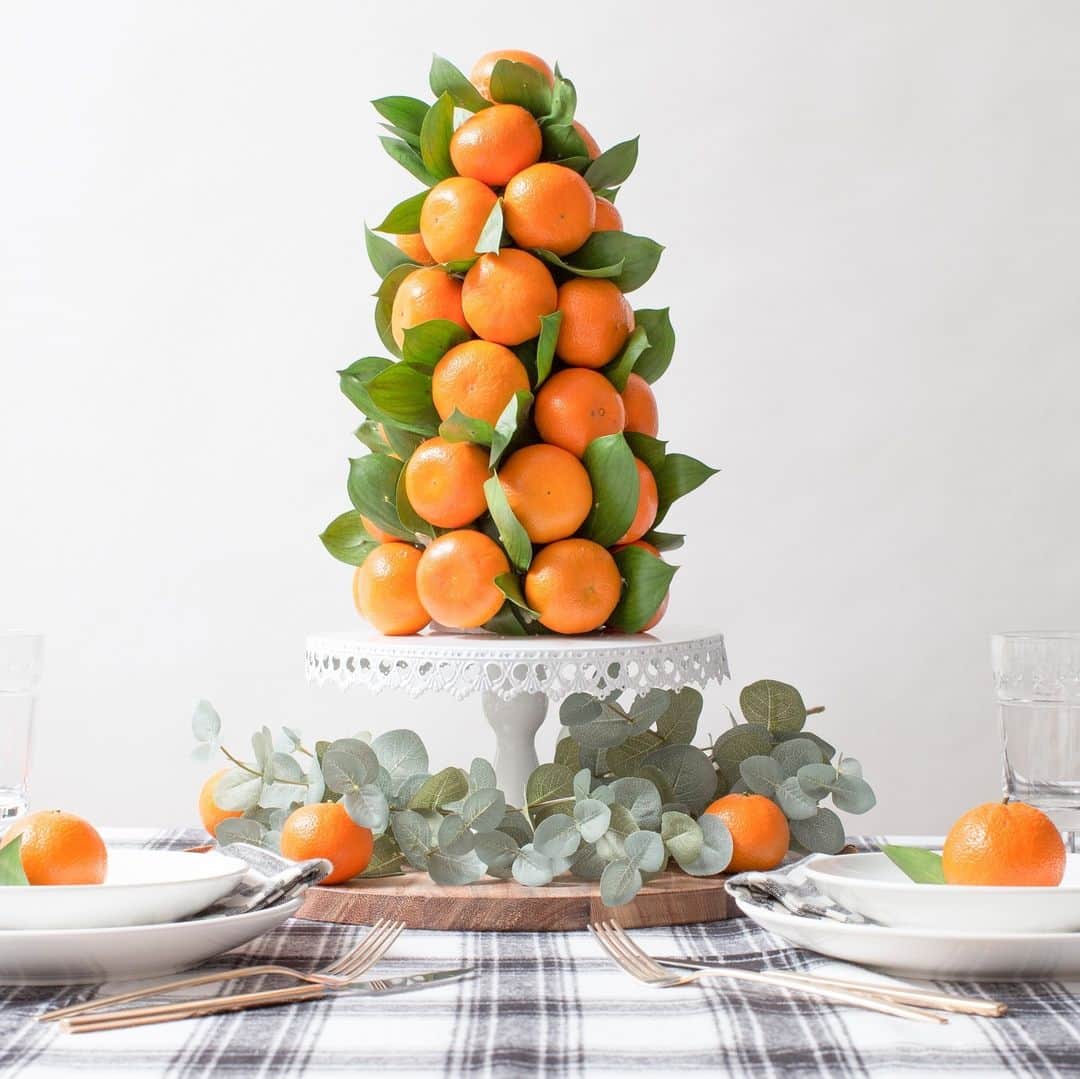 HGTVさんのインスタグラム写真 - (HGTVInstagram)「Want to *really* impress your Thanksgiving guests? ⁠ ⁠ We've rounded up our favorite edible centerpieces to delight your guests and make your celebration even more exciting. The best part? With an edible centerpiece, you might be able to skip the appetizers this year. 👍⁠ ⁠ Which display did it best? ⁠ ⁠ Head to the 👉 link in bio for more ideas and the how-tos. #HGTVHowTo」11月20日 5時06分 - hgtv