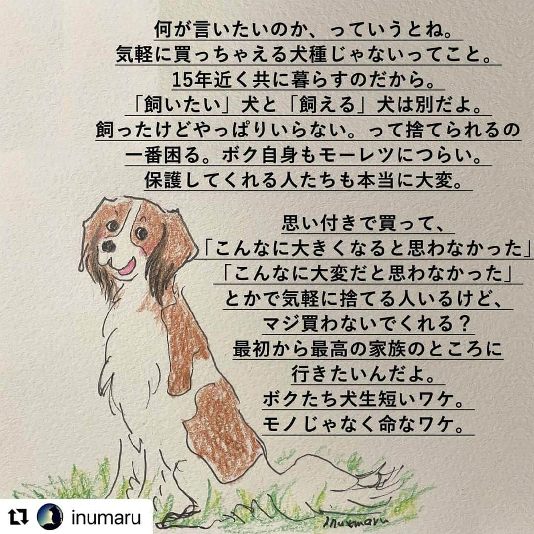 たまねぎさんのインスタグラム写真 - (たまねぎInstagram)「. . 本当にそうだと思います。 リポストさせていただきます。 . リポスト先 @inumaru  . . .」11月20日 15時11分 - tamanegi.qoo.riku