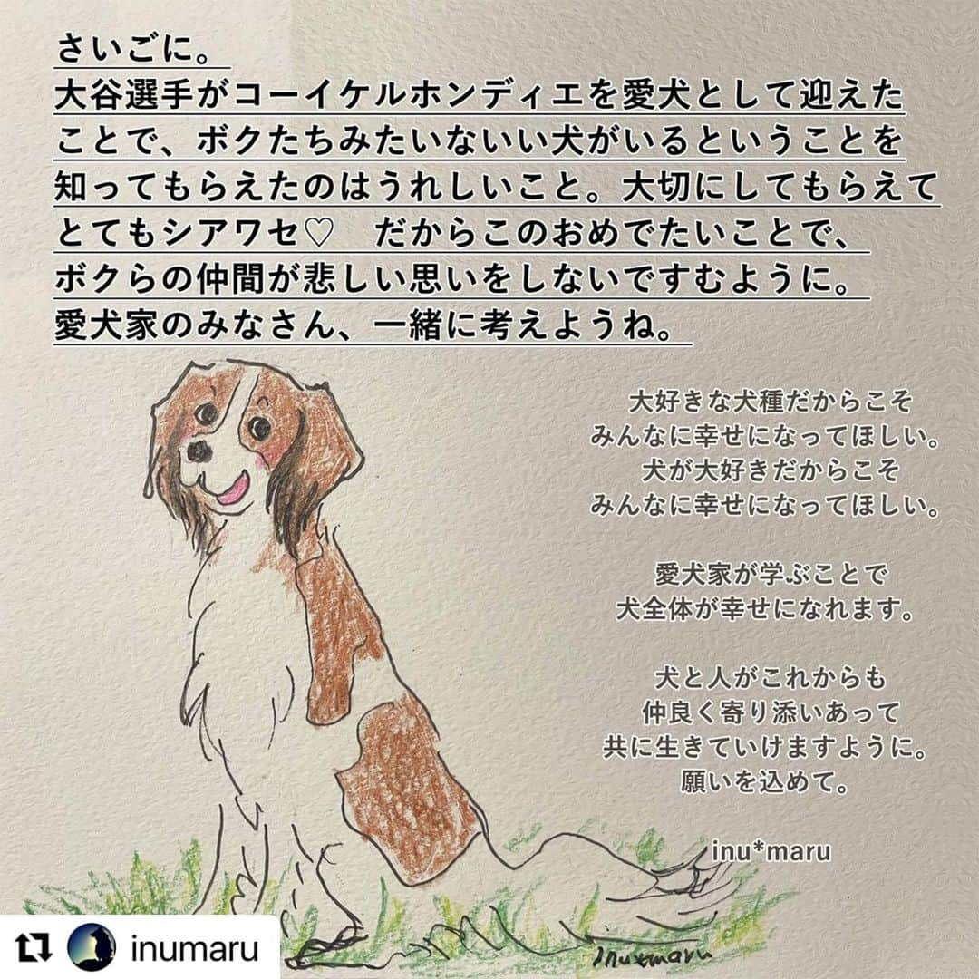 たまねぎさんのインスタグラム写真 - (たまねぎInstagram)「. . 本当にそうだと思います。 リポストさせていただきます。 . リポスト先 @inumaru  . . .」11月20日 15時11分 - tamanegi.qoo.riku