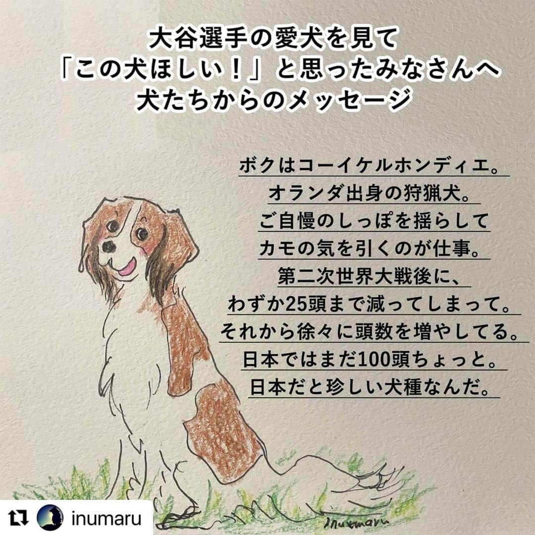 たまねぎのインスタグラム：「. . 本当にそうだと思います。 リポストさせていただきます。 . リポスト先 @inumaru  . . .」