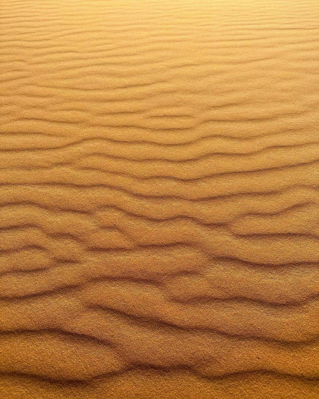 エイチ・アイ・エスさんのインスタグラム写真 - (エイチ・アイ・エスInstagram)「＼北アフリカにある世界最大の砂漠🏜️／  アフリカ大陸の3分の1を占める広大なサハラ砂漠✨ 夕焼けに染まった砂漠がとても素敵なお写真😊 星空が広がる砂漠もぜひ一度見てみたいですね☺️🌌  …………………………………………………………… 📍 #モロッコ #サハラ砂漠 📸 @cheeetaaah さん  世界最大の砂漠　サハラ砂漠 砂漠での朝陽、夕陽も間違い無いが、 夜の天然プラネタリウムは圧巻だ。 更に、サハラ砂漠に訪れた際は裸足で砂漠を駆け抜けてほしい。 ……………………………………………………………  旅先探しのヒントは こちらをチェック▶︎▶︎▶︎ @his_japan  —————— 📷旅のお写真募集中✈️ ——————  皆さんの旅の思い出は、@his_japan OR #his_japan2023 を付けてシェアしてください🙌 過去PICもOKです❗️  集まったお写真は、HISのSNSやオウンドメディアでご紹介🙆‍♀️  #旅の思い出 #海外旅行 #モロッコ旅行 #モロッコおすすめ #モロッコ観光 #次の旅先リスト #旅行好きな人と繋がりたい #写真好きな人と繋がりたい #旅したくなるフォト #旅スタグラム #インスタトラベル #女子旅 #ひとり旅 #カップル旅 #家族旅行 #instatravel #instapassport #photooftheday #instaphotography #worldtravelpics #worldtraveler #moroccotravelphoto #moroccotrip #morocco  #saharadesert」11月20日 18時00分 - his_japan