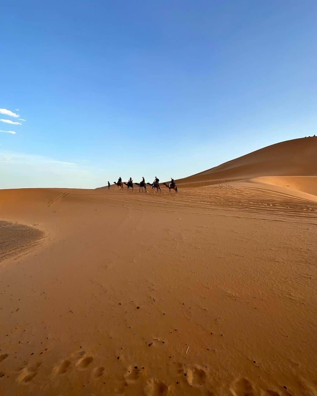 エイチ・アイ・エスさんのインスタグラム写真 - (エイチ・アイ・エスInstagram)「＼北アフリカにある世界最大の砂漠🏜️／  アフリカ大陸の3分の1を占める広大なサハラ砂漠✨ 夕焼けに染まった砂漠がとても素敵なお写真😊 星空が広がる砂漠もぜひ一度見てみたいですね☺️🌌  …………………………………………………………… 📍 #モロッコ #サハラ砂漠 📸 @cheeetaaah さん  世界最大の砂漠　サハラ砂漠 砂漠での朝陽、夕陽も間違い無いが、 夜の天然プラネタリウムは圧巻だ。 更に、サハラ砂漠に訪れた際は裸足で砂漠を駆け抜けてほしい。 ……………………………………………………………  旅先探しのヒントは こちらをチェック▶︎▶︎▶︎ @his_japan  —————— 📷旅のお写真募集中✈️ ——————  皆さんの旅の思い出は、@his_japan OR #his_japan2023 を付けてシェアしてください🙌 過去PICもOKです❗️  集まったお写真は、HISのSNSやオウンドメディアでご紹介🙆‍♀️  #旅の思い出 #海外旅行 #モロッコ旅行 #モロッコおすすめ #モロッコ観光 #次の旅先リスト #旅行好きな人と繋がりたい #写真好きな人と繋がりたい #旅したくなるフォト #旅スタグラム #インスタトラベル #女子旅 #ひとり旅 #カップル旅 #家族旅行 #instatravel #instapassport #photooftheday #instaphotography #worldtravelpics #worldtraveler #moroccotravelphoto #moroccotrip #morocco  #saharadesert」11月20日 18時00分 - his_japan