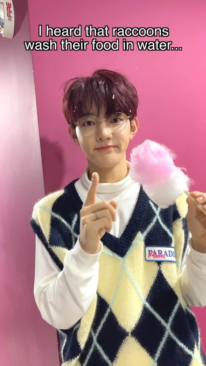ZEROBASEONEのインスタグラム：「I heard that raccoons wash their food on water...  #ZEROBASEONE #ZB1 #제로베이스원 #ZHANGHAO #장하오 #MELTINGPOINT #ZEROBASEONE_MELTINGPOINT #MELTINGPOINTchallenge」