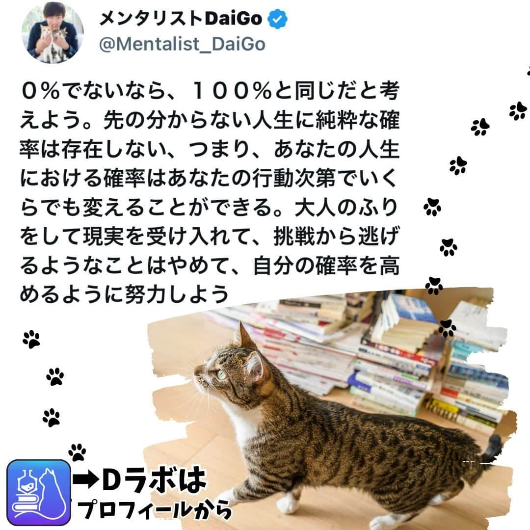 メンタリストDaiGoのインスタグラム：「🐈本日の名言📚 プロフィールからDラボもみてね  #心理学 #メンタリスト #dラボ  #dラボはプロフィールから」