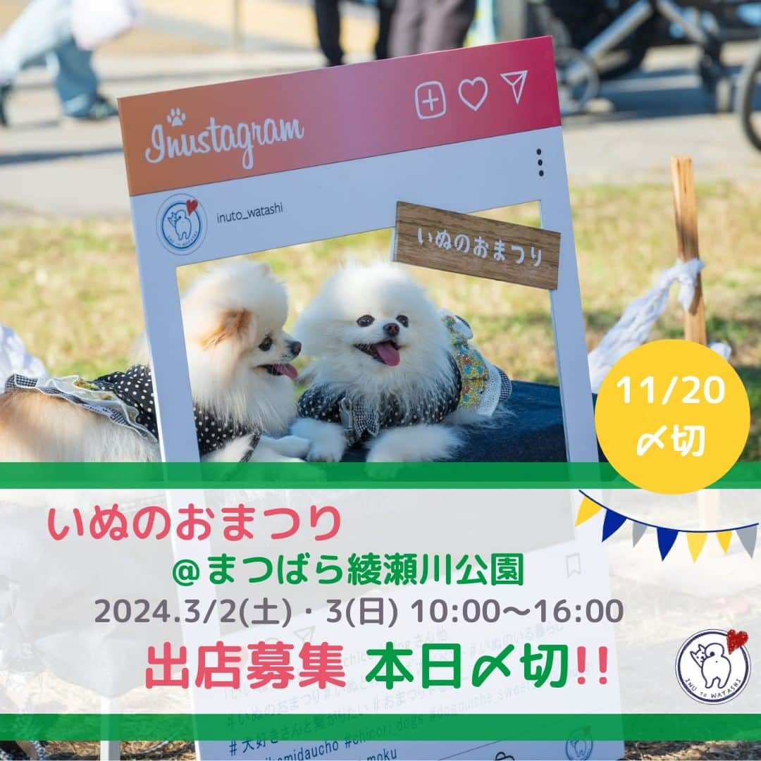 甲斐麻美のインスタグラム：「. \\ いぬのおまつり 　2024年3/2(土),3(日)＠まつばら綾瀬川公園 　　　　　出店募集本日〆切 // 　　　（～11/20(月)〆切)  締め切りは、11/20(月)23:59です！  出店ご希望の方🐕💛  出店募集の〆切は本日(11/20) 23:59です。  先着順ではないので大丈夫♩ お忘れの方はご応募お待ちしております。  ワンちゃんとワンちゃん家族の笑顔がたくさん見たいから、 『いぬLOVE💗』でハートフルな出店者様と ご一緒できることを楽しみにしています！ わたしたちと一緒に、 いぬと人と街がくつろぎ楽しむ空間を作りましょう🌝♬  @inuto_watashi ↑をフォローの上、  いぬとわたしホームページへ。 → https://inutowatashi.wixsite.com/home  プロフィール欄からどうぞ🐶✨  HPの出店要項(規約)をよくご確認の上、 申込みフォームよりご応募ください🐕‍🦺✨ ▶応募者が多数の場合は選考になります。 ▶メールやDMでは応募を受け付けておりません、申込みフォームよりご応募下さい。 ▶受付期間中はフォームの訂正も可能です。  いぬのおまつり運営team一同、 どんな出店者様とご一緒できるのか とても楽しみにしております😊✨  ============  いぬのおまつり ============  ■日時：2024年3月2日(土)・3(日) 10:00～16:00 ※雨天中止 場所：まつばら綾瀬川公園(旧綾瀬川左岸広場) 東武スカイツリーライン獨協大学前駅東口 徒歩約8分  #いぬのおまつり　 #埼玉県 #草加市 #草加グルメ #草加最高 #松並木 #イベント運営 #いぬとわたし #犬との暮らし #犬ファースト #犬好きさんと繋がりたい #犬がいないと生きていけません #犬好き #犬のイベント #犬イベント #犬とお出かけ #いぬすたぐらむ #いぬのおまつり #いぬとわたし #犬イベント #犬の日 #出店者募集 #TOKYO #犬すきさんと繋がりたい #犬との暮らしを楽しむ #募集 #犬ばか部」