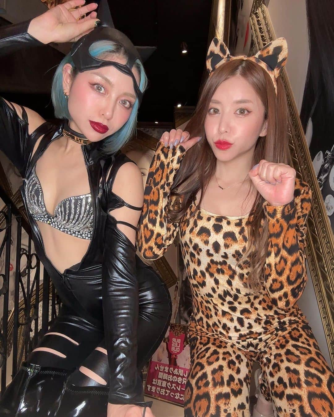 LEONAのインスタグラム：「#2023ハロウィン  #ねこちゃん  #partyon #パリオン #六本木」