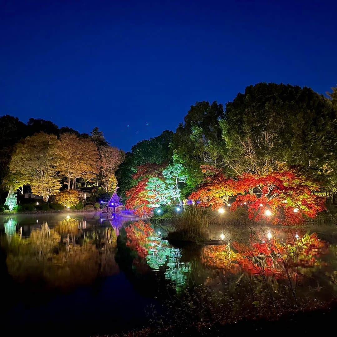 依田司さんのインスタグラム写真 - (依田司Instagram)「11月20日(月) 東京町田市にある「薬師池公園・色彩の杜」では、今月３０日（木）まで『紅葉まつり』を開催中。薬師池周辺ではモミジやイチョウの木々が色づき、まもなく見頃を迎えます。夕方からはライトアップイベントも行われ、さらに、デジタルアート『デジタル掛け軸』も始まり、自然のおりなす風景に映し出される幻想的な映像は圧巻です。 また、隣接する薬師堂の大イチョウ（推定樹齢約５００年）など、様々な情緒あふれる木々の色づきを楽しむことができます。  ※今年の猛残暑の影響からか、紅葉前の木々で枯れかけているものが見られました。  #薬師池公園 #LACOSTE #ラコステ #依田さん #依田司 #お天気検定 #テレビ朝日 #グッドモーニング #サタデーステーション #気象予報士 #お天気キャスター #japan #japantrip #japantravel #unknownjapan #japanAdventure #japanlife #lifeinjapan #instagramjapan #instajapan #療癒 #ilovejapan #weather #weathercaster #weatherforecast」11月20日 9時11分 - tsukasa_yoda