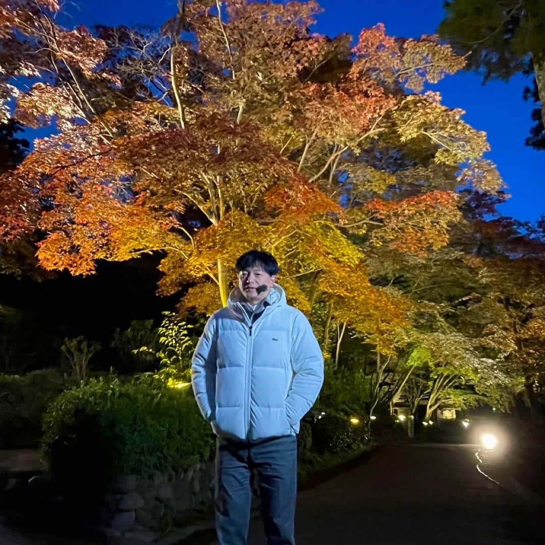 依田司さんのインスタグラム写真 - (依田司Instagram)「11月20日(月) 東京町田市にある「薬師池公園・色彩の杜」では、今月３０日（木）まで『紅葉まつり』を開催中。薬師池周辺ではモミジやイチョウの木々が色づき、まもなく見頃を迎えます。夕方からはライトアップイベントも行われ、さらに、デジタルアート『デジタル掛け軸』も始まり、自然のおりなす風景に映し出される幻想的な映像は圧巻です。 また、隣接する薬師堂の大イチョウ（推定樹齢約５００年）など、様々な情緒あふれる木々の色づきを楽しむことができます。  ※今年の猛残暑の影響からか、紅葉前の木々で枯れかけているものが見られました。  #薬師池公園 #LACOSTE #ラコステ #依田さん #依田司 #お天気検定 #テレビ朝日 #グッドモーニング #サタデーステーション #気象予報士 #お天気キャスター #japan #japantrip #japantravel #unknownjapan #japanAdventure #japanlife #lifeinjapan #instagramjapan #instajapan #療癒 #ilovejapan #weather #weathercaster #weatherforecast」11月20日 9時11分 - tsukasa_yoda