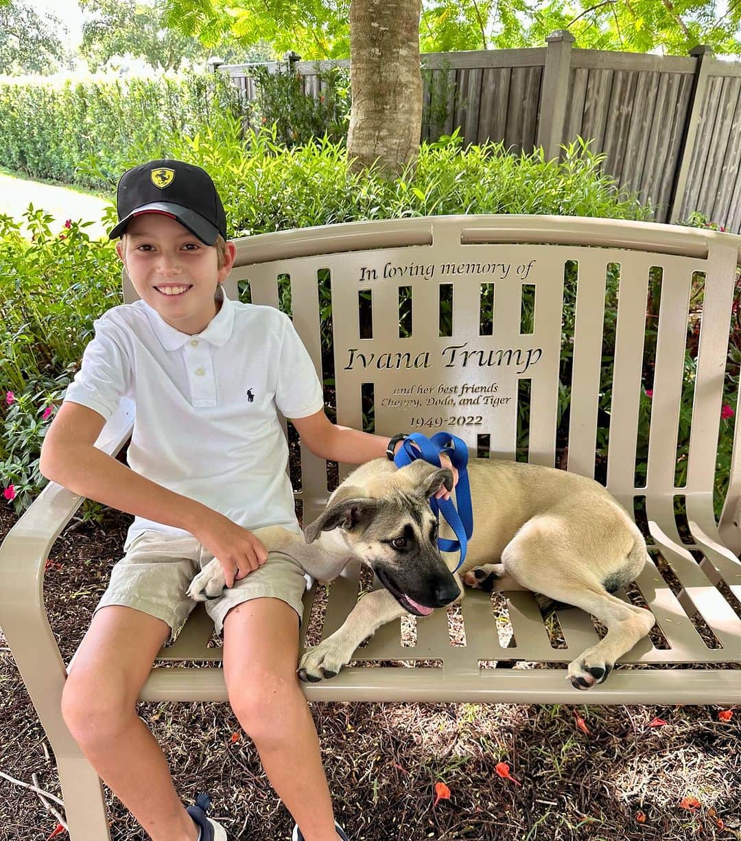 イヴァンカ・トランプさんのインスタグラム写真 - (イヴァンカ・トランプInstagram)「A couple of weeks ago we brought Simba, our big hearted and goofy German Shepherd-Lab mix, home from Big Dog Ranch Rescue. This little warrior puppy was found abandoned and emaciated alongside a highway in Alabama. Simba joins Winter 🐶 and Chester 🐹, another furry friend who recently joined the family. Welcome to the crew, Simba! 🐾🐶💙🏡」11月20日 9時57分 - ivankatrump