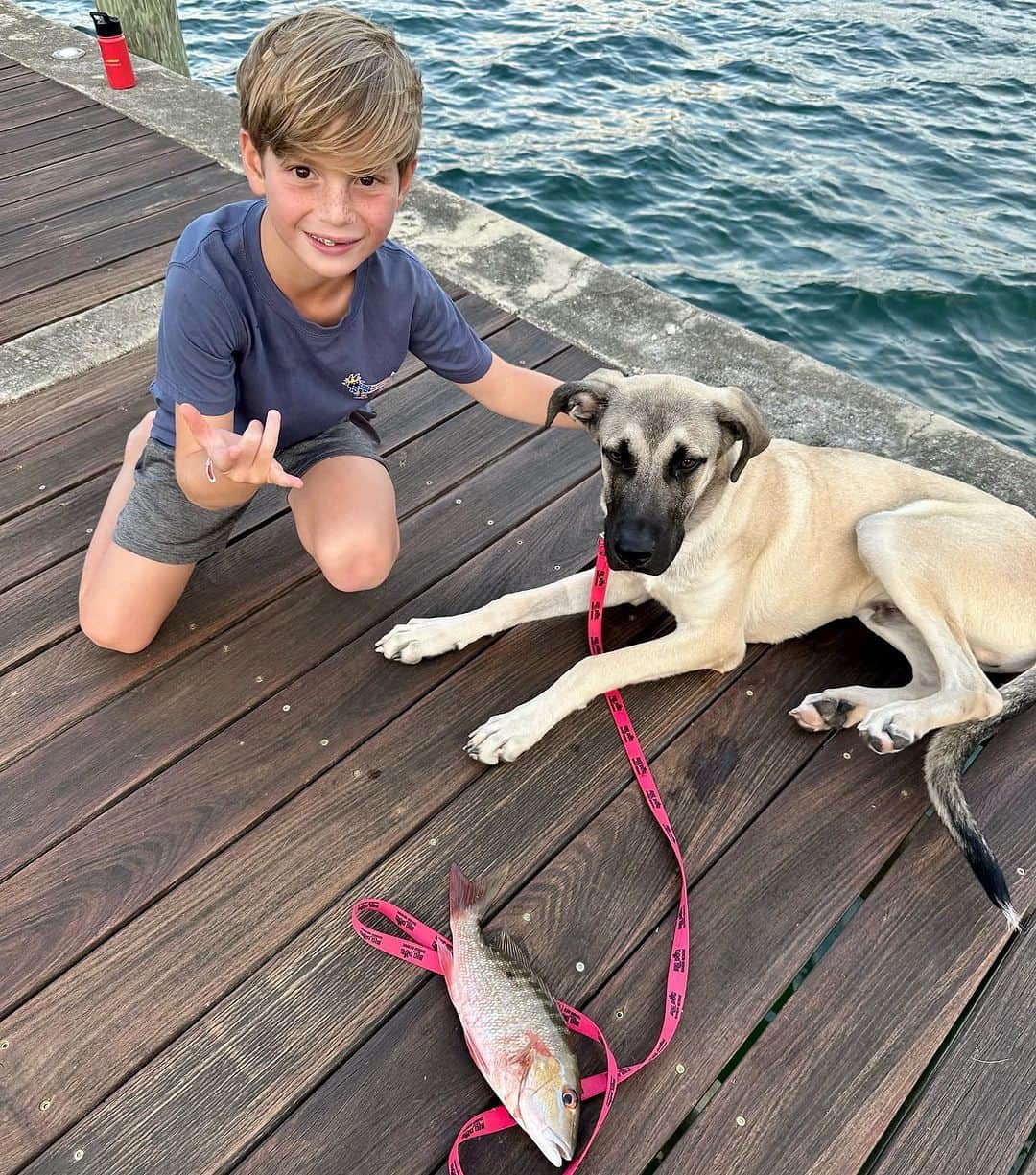イヴァンカ・トランプさんのインスタグラム写真 - (イヴァンカ・トランプInstagram)「A couple of weeks ago we brought Simba, our big hearted and goofy German Shepherd-Lab mix, home from Big Dog Ranch Rescue. This little warrior puppy was found abandoned and emaciated alongside a highway in Alabama. Simba joins Winter 🐶 and Chester 🐹, another furry friend who recently joined the family. Welcome to the crew, Simba! 🐾🐶💙🏡」11月20日 9時57分 - ivankatrump