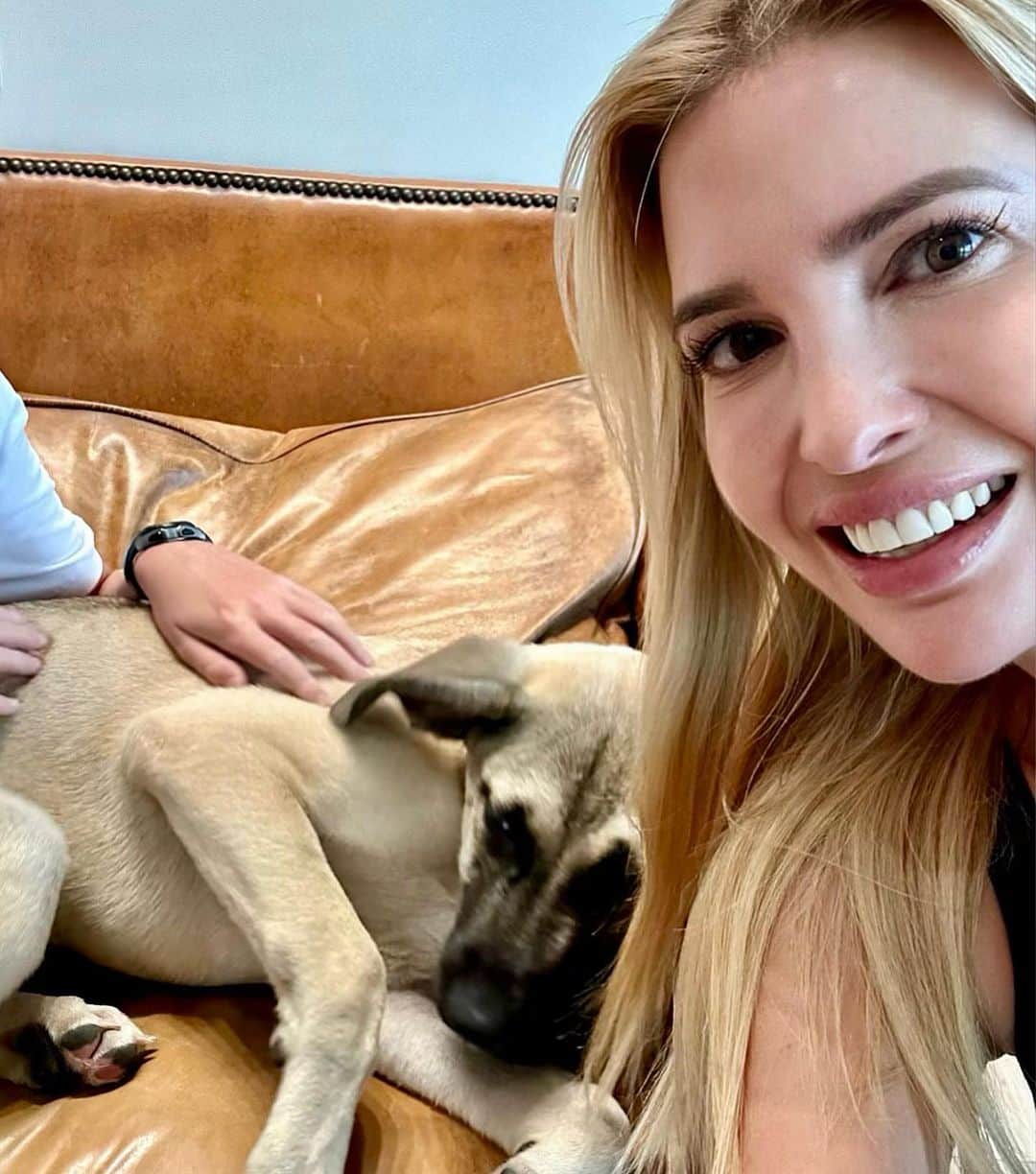 イヴァンカ・トランプさんのインスタグラム写真 - (イヴァンカ・トランプInstagram)「A couple of weeks ago we brought Simba, our big hearted and goofy German Shepherd-Lab mix, home from Big Dog Ranch Rescue. This little warrior puppy was found abandoned and emaciated alongside a highway in Alabama. Simba joins Winter 🐶 and Chester 🐹, another furry friend who recently joined the family. Welcome to the crew, Simba! 🐾🐶💙🏡」11月20日 9時57分 - ivankatrump