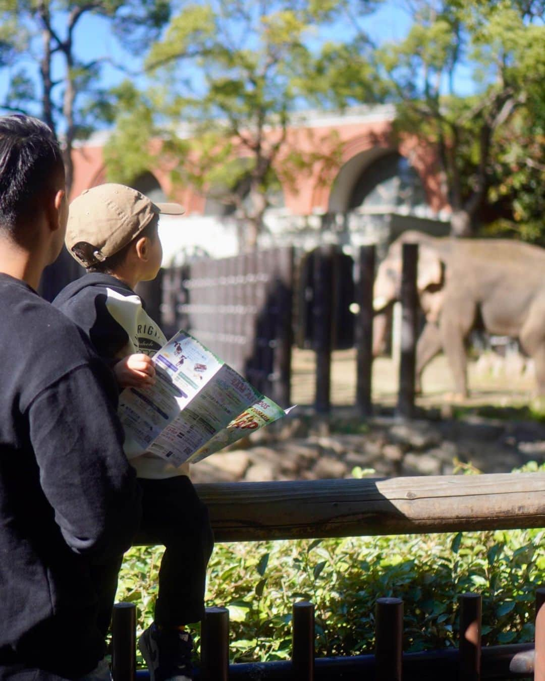 Ayaさんのインスタグラム写真 - (AyaInstagram)「久しぶりズーラシア動物園へ🦁🦓🐅  次男は前来た時はまだ小さくて無反応 やったけど今日は動物に興味津々で 連れてきた甲斐があったぁ🥹❤️‍🔥笑 全部🐶か恐竜🦕と思ってるけど反応が いちいた可愛いかった。笑  長男が水族館大好きやからいつも水族館に行く 事が多いけど、たまには動物園もありだな🤔  子供がいる生活になって行くところが 本当ガラッと変わったな🤣 子供の喜ぶ顔がみたいんよね☺️ 次はサファリパークいきたい🦁  洋服は🏷付けしました🫡  #ズーラシア#ズーラシア動物園#動物園#横浜子連れスポット#男の子ママ#男の子育児#1歳#4歳#男の子コーデ#ママコーデ#親子#親子コーデ#息子コーデ#sheinkids#zarakids」11月20日 10時01分 - aya__fit