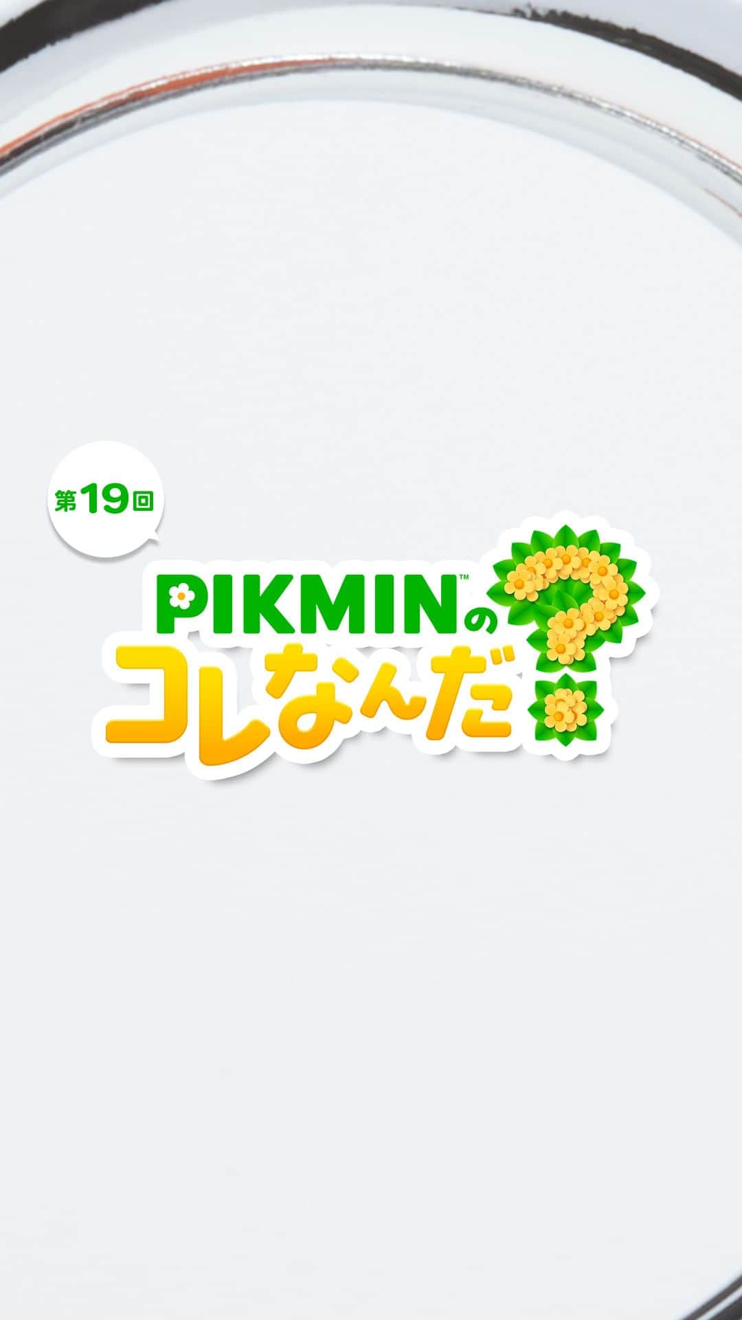 任天堂のインスタグラム：「「PIKMINのコレなんだ？」第19回  ピクミンたちが見つけたものはなんでしょう？  #ピクミン #pikmin #これなんだ #NintendoSwitch #Nintendo #任天堂」