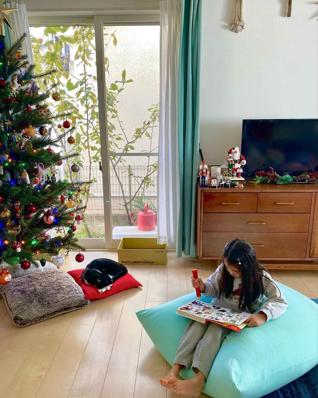 山口愛実のインスタグラム：「我が家もクリスマスツリーはじめました🎄」