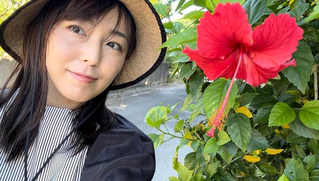 伊藤えみさんのインスタグラム写真 - (伊藤えみInstagram)「おはよう！今週も楽しもうと思う🌺  #秋に麦わら帽子 #奄美大島 #加計呂麻島 #写真フォルダの中身公開中 #伊藤えみ #emiito  #ハイビスカス #ハートみたいな蝶々みたいな #follow #followme」11月20日 10時30分 - itoemi1019