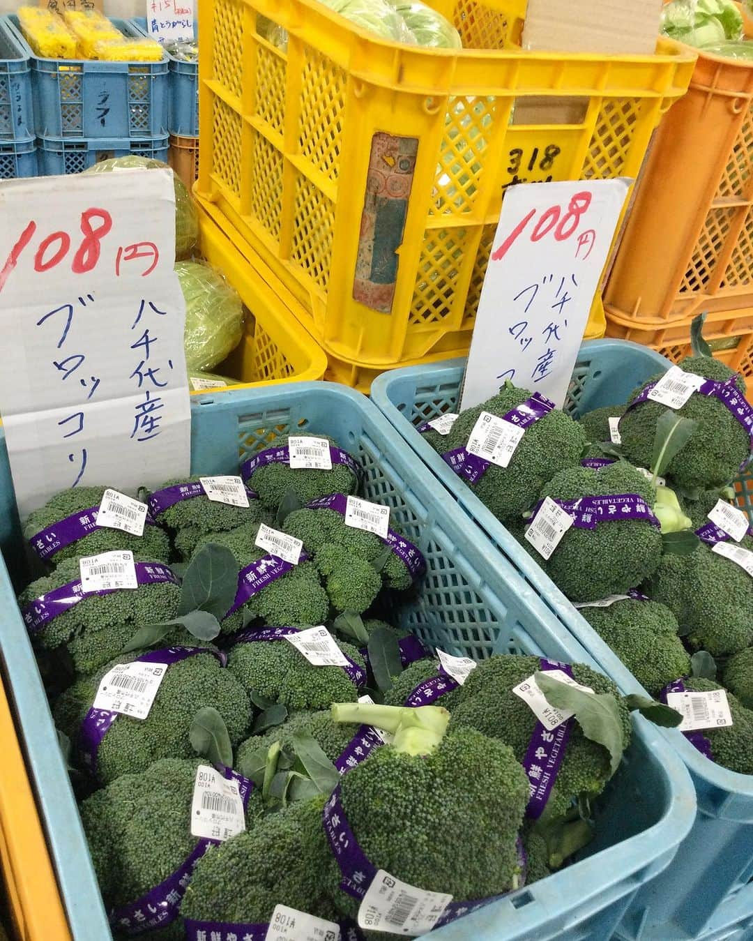 道の駅やちよさんのインスタグラム写真 - (道の駅やちよInstagram)「農産物直売所お買い得情報✨ ブロッコリーは、108円‼️ そして、白菜は大きくてお安いです❗️ でも、大きすぎて買うのを躊躇しますよね😅 1/4ブタバラでミルフィーユ鍋、1/4浅漬、1/4キムチ鍋、1/4ざく切りで冷凍✌️ はい、使い切れました👏こんな感じでどうでしょう✨  #お出かけ #道の駅 #道の駅やちよう #道の駅巡り  #地産地消 #農産物直売所 #新鮮野菜 #野菜好き #野菜たっぷり #買い物 #ブロッコリー #白菜レシピ   #休憩 #やちよ農業交流センター」11月20日 10時43分 - michinoeki_yachiyo090720