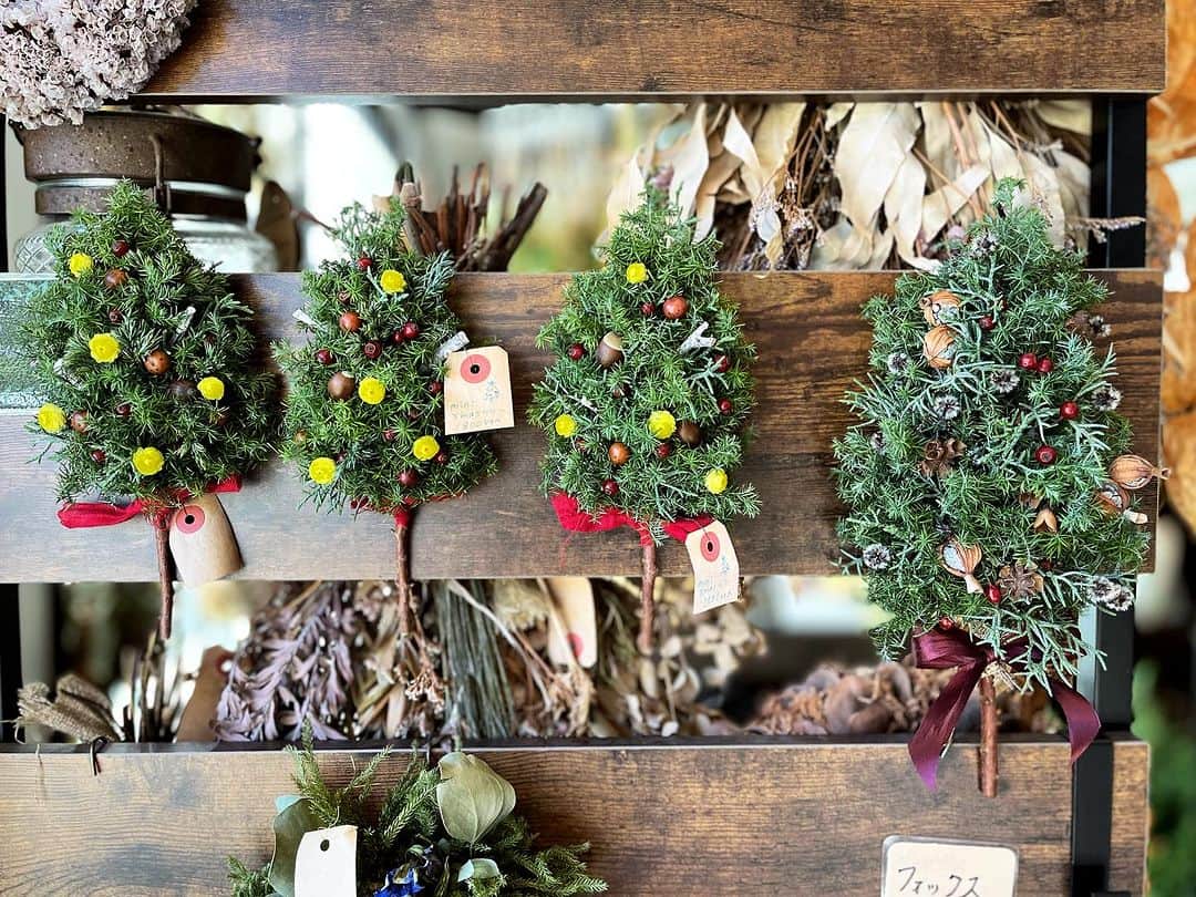 MILLE ECLAT.のインスタグラム：「ミニミニ🎄沢山あります✨☺️ . お値段1800円〜3300円🎅 . ２枚目の1番でかい子は今日のワークショップで作るツリーです🎄✨🎄✨🎄」