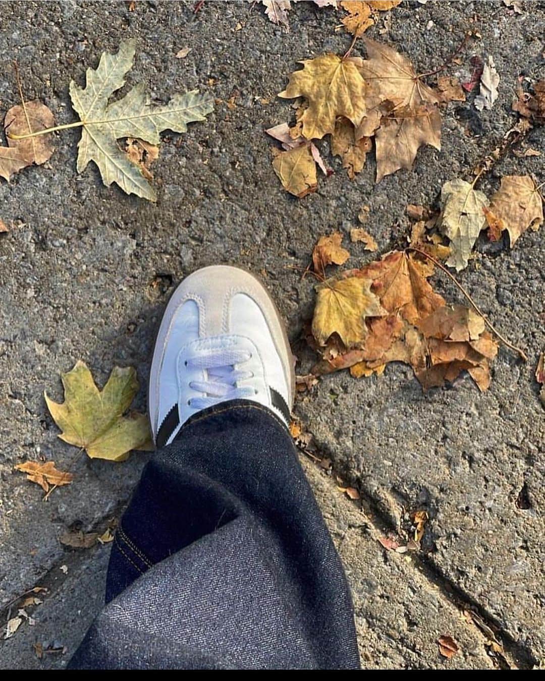 梨花 さんのインスタグラム写真 - (梨花 Instagram)「Sneaker Fever Arrives！」11月20日 11時00分 - rinchan521