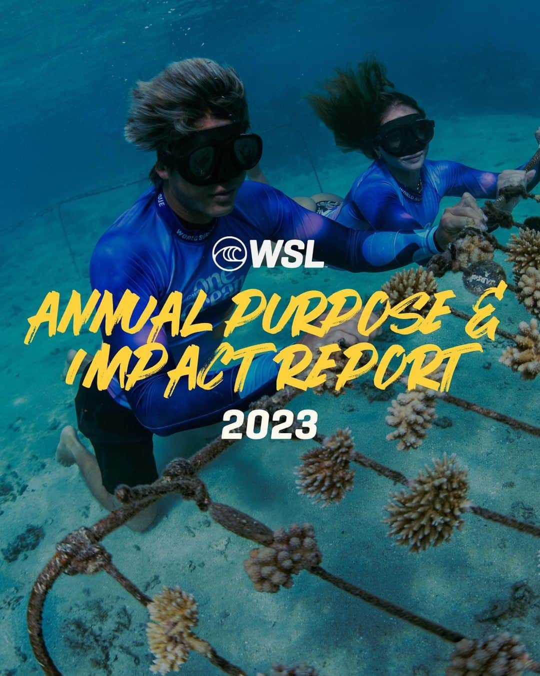 世界プロサーフィン連盟（WSL）のインスタグラム：「The future of surfing is directly tied to the health of our global ocean. Throughout 2023, we demonstrated our commitment to protecting and conserving the global ocean through our @wsloneocean initiatives in order to preserve the future of our sport for generations to come. Today, we are proud to share our 2023 Purpose & Impact Report highlights below:  🌱 363,821 Trees planted - equivalent to our carbon offsetting actions since 2018  🪸 Lead efforts with @coralgardeners to plant 100,000 corals by the end of 2023  🌊 45,374 Hectares protected or restored including initiating the Brazilian Surfing Reserves Program  💙 225% Increased engagement   📚 3,041 Youth educated on cultural and environmental stewardship  🤝 1,635 Passionate volunteers engaged  ♻️ 2 Tons of plastic pollution removed through river barrier projects  ☀️ 16 Critical local impact projects funded  Thank you @unbiodiversity for having us as your guest editor this week. 🤙🏽 🌊This is our last post, but you can follow along at @wsl @wsloneocean after today. For those new to @wsl, follow the world’s best surfers next year as they compete for the championship title and tune in live at worldsurfleague.com. To read our complete 2023 Purpose & Impact Report, visit worldsurfleague.com/wsloneocean.   #WSLOneOcean #WSLTakeover」