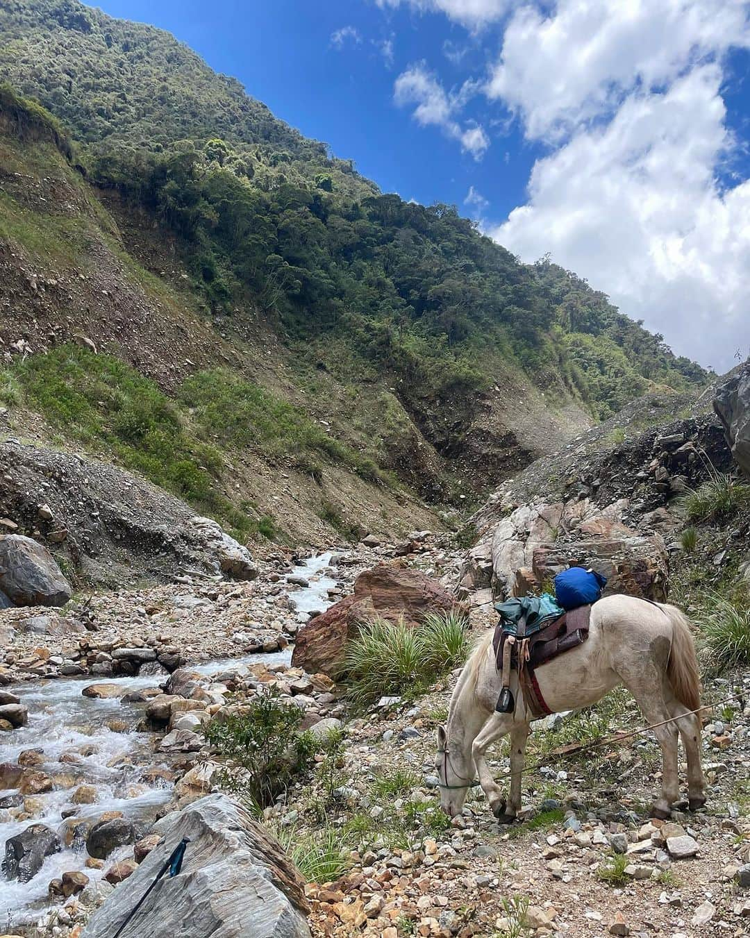 さんのインスタグラム写真 - (Instagram)「Salkantay trek 🇵🇪」11月20日 11時36分 - deniseschaefer