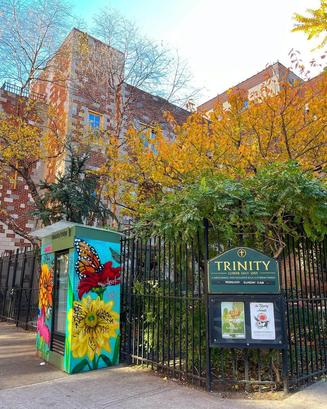 下條ユリのインスタグラム：「ただいま I❤️NY I felt so blessed seeing my dog drawing for the animal blessing was still there at my neighborhood church @trinityles.nyc today.   Reminiscing about last year’s beautiful autumn park, I was missing Rudy so much and so sad, then I had the best welcome home surprise across the street!   Rudy has sent me messages from everywhere  “I’m with you ♾️!” I'm so grateful 💙 for the best community, letting me feel at home! 🫶🏽🙏🏼  1)2)3) 2023  3)4) 2022 a year ago  5)2018 Year of the Dog mural in Williamsburg @picturefarmpro  6) 2018 Year of the Dog print  #YuriShimojo_Zodiacs  (2024 🐉soon!)   今日はNYのコミュニティから最高の「おかえりなさい」の歓迎をうけた😭  久しぶりのFarmers Market、秋の色に染まった近所の公園を歩いていて去年の今頃を思い出し、無性にるーちんが恋しく悲しくなった。その時ふと目を上げると向かいの教会にわたしの描いたるーちんと犬の絵が。教会のAnimal Blessing のために寄付した絵がまだそのままになっていたのだ。  Rudyが色々なところから「一緒にいるよ。大丈夫だよ」とメッセージを送ってくれている。こうしてずっと一緒に生きていられることに心から感謝した💙 @rudyshimojogotsoul うちの近所は「この世のはきだめ」の様な場所だけどああ大好き❤  ※Animal Blessing とは、教会が動物たちに健康祈願のお清めをする年に一度の儀式。ニューヨーカーたちがあらゆるペットを連れてくる🐆🐍🦇🦕🦑 #AnimalBlessing   ※ちなみに横にある派手な箱はcommunity fridge コミュニティの冷蔵庫。余った食べ物が個人やレストランから必要な人へと循環する。わたしもいつもここにシェアする。NYこの近所ならでわの素晴らしいシステム 🤜🏼💞🤛🏼」