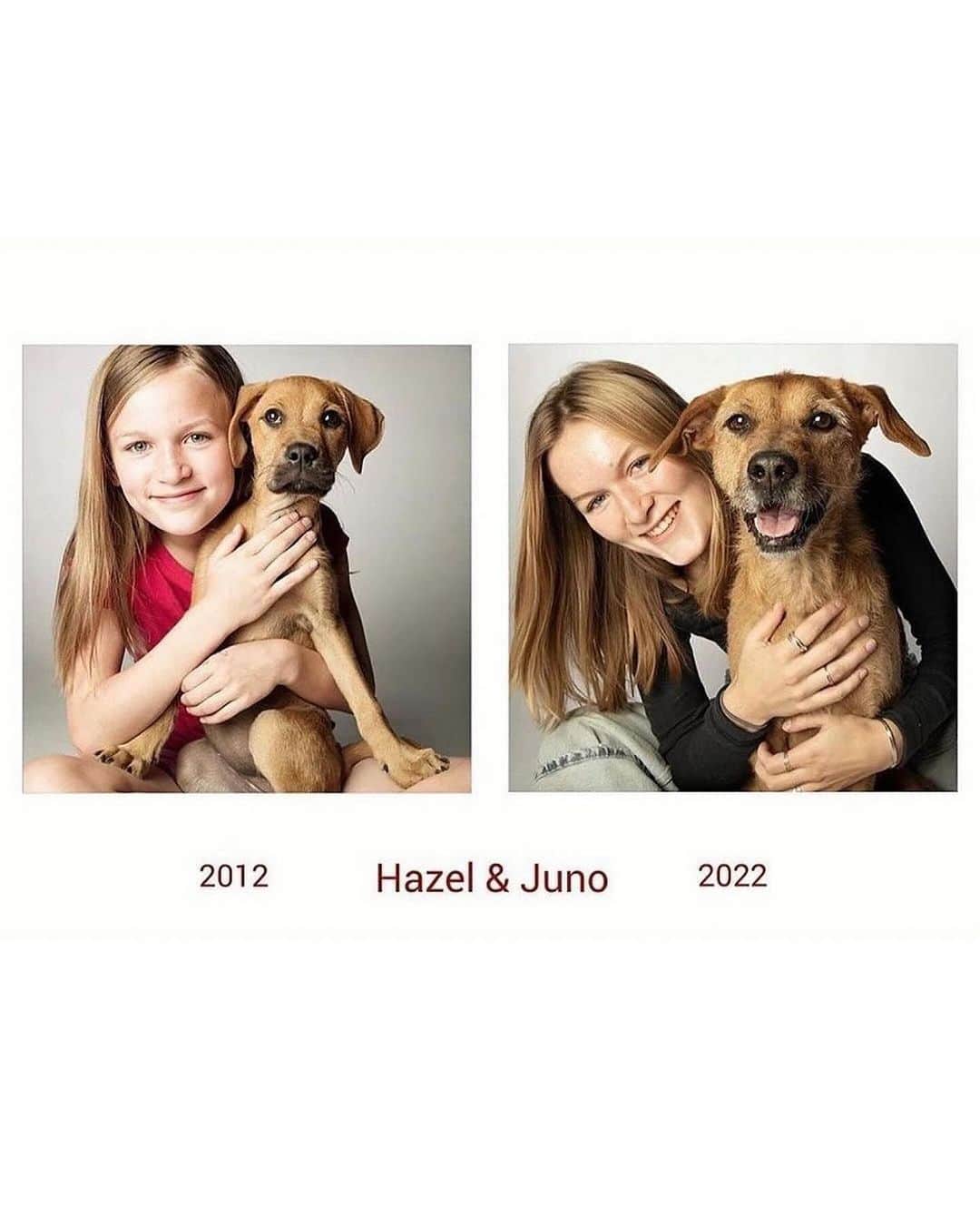 Earth Picsさんのインスタグラム写真 - (Earth PicsInstagram)「Unfortunately, our lovely companions, dogs, age faster than we do, letting us see their transformation through the years. That has inspired Amanda Jones, a photographer from the United States, to create a project where we can see the same dogs but years apart to showcase their aging.  This photographic project serves as a good reminder that we will spend only a fraction of our lives with dogs, while for them, we are their entire life.  📷: @amandajonesinc」11月20日 12時09分 - earthpix
