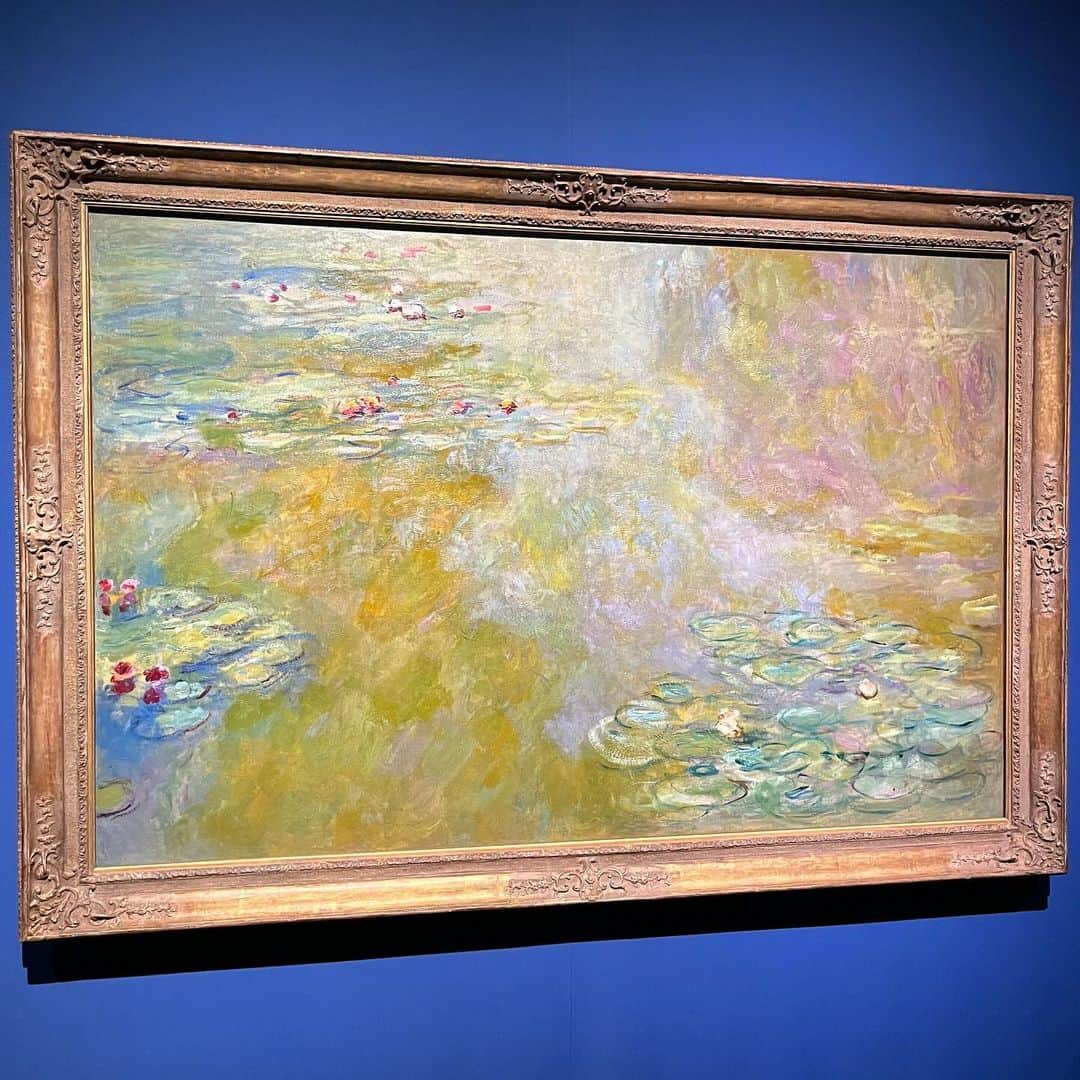 大枝瑞希さんのインスタグラム写真 - (大枝瑞希Instagram)「Claude Monet 🪷🖼️」11月20日 12時28分 - __mzkxx__
