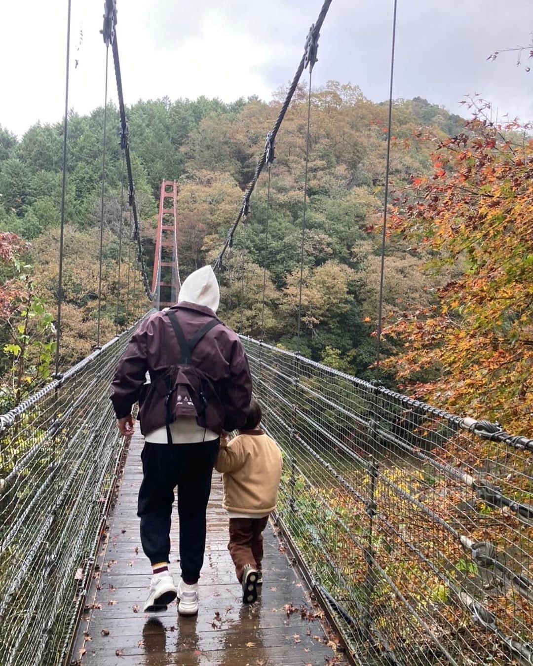 柏木陽介さんのインスタグラム写真 - (柏木陽介Instagram)「今回は大垣市へ。  まあご飯とかでは大垣に色々と行ってはいるんですけどね。  名所として今回は多良峡森林公園に行ってきました。  温暖化の影響でものすごく綺麗な紅葉とまではいかなかったですが、素敵な吊り橋と紅葉と川という最高のシチュエーション。  紅葉シーズンじゃなくても、春夏秋冬で楽しめると思います。  これからこうようのピークになりそうなので、ぜひ行ってみてください。  #岐阜県#大垣市#42市町村#制覇#多良峡森林公園#吊り橋＃紅葉」11月20日 12時53分 - yosuke_kashiwagi