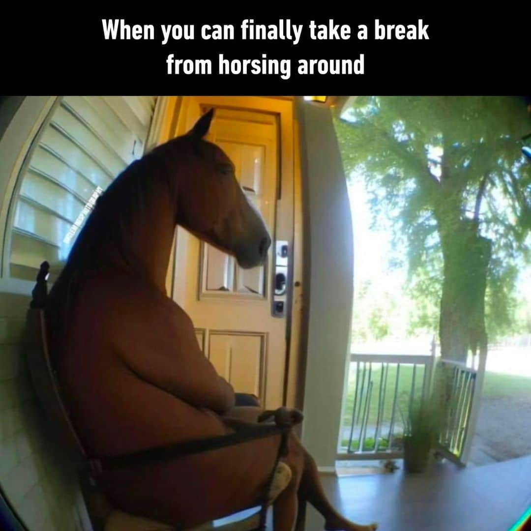 9GAGさんのインスタグラム写真 - (9GAGInstagram)「time to chill - #rest #horse #tired #memes #9gag」11月20日 13時00分 - 9gag