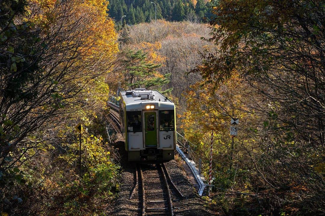 山人さんのインスタグラム写真 - (山人Instagram)「ゆだ錦秋湖駅の周囲にはまだまだ隠れ鉄道スポットが！ ある程度落葉すると現れるスポットもありました👀  2023.11.16 撮影  #私の山人  #山人 #西和賀 #岩手 #岩手県 #温泉 #いくぜ東北 #東北グルメ巡り #東北グルメ #東北旅行 #温泉旅行 # 田舎暮らし #日本の風景 #自然が好き　 #風景写真を撮るのが好きな人と繋がりたい #田舎の風景 #紅葉 #もみじ #芸術の秋 #錦 #紅葉スポット #ぶどう #落葉 #北上線 #JR #JR東日本 #湯ったりまつり2023 #地元の鉄道を応援しよう✊ #ゆだ錦秋湖駅」11月20日 13時21分 - yamado.official