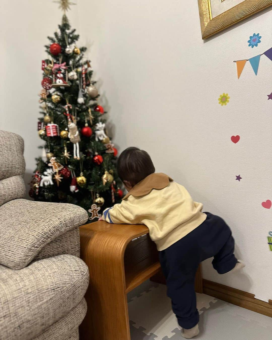 田井弘子さんのインスタグラム写真 - (田井弘子Instagram)「はじめての クリスマスツリー🎄に 興味津々👶❣️ #甥活 #おばばか #もうすぐ1歳」11月20日 13時31分 - hirokotai