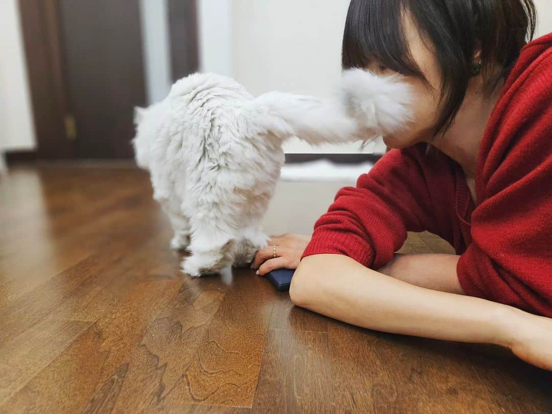 チェ・ガンヒのインスタグラム：「어제  '우리'와나 🐈」