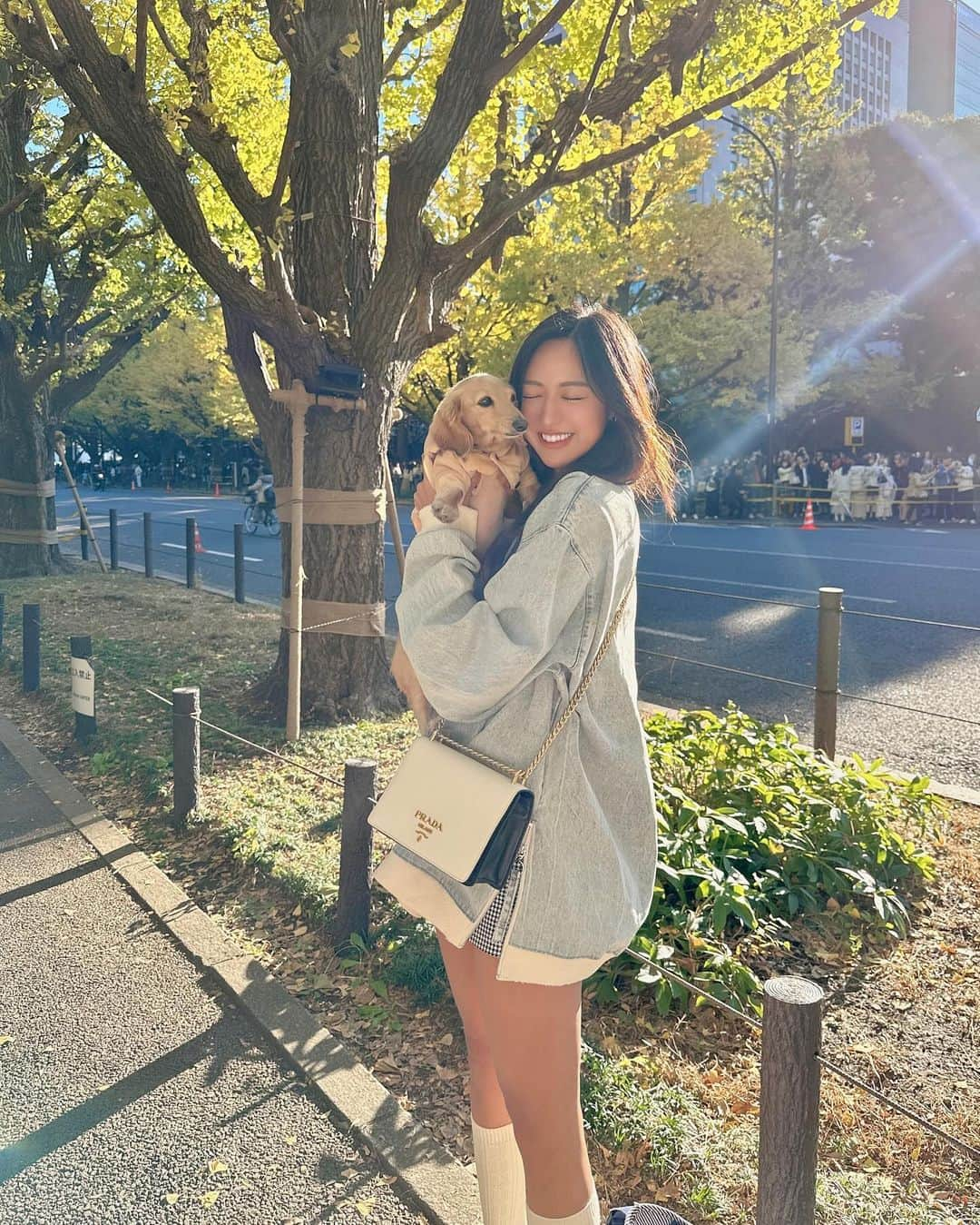 みなみさんのインスタグラム写真 - (みなみInstagram)「りらっくもなちゃんとお散歩  #いちょう並木 #🐻 #🐶」11月20日 14時02分 - _710132