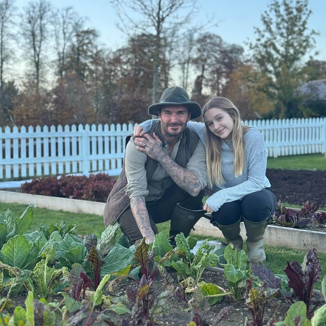 デビッド・ベッカムのインスタグラム：「And so the organic farming begins with my little helper 🩷 Quick check on my Bee’s 🐝 🍯🍯🍯🍯then over to the 🥬 🥕 🧅 🍅🍆🥦🧄🥔 Thanks mummy for the picture @victoriabeckham 📸」