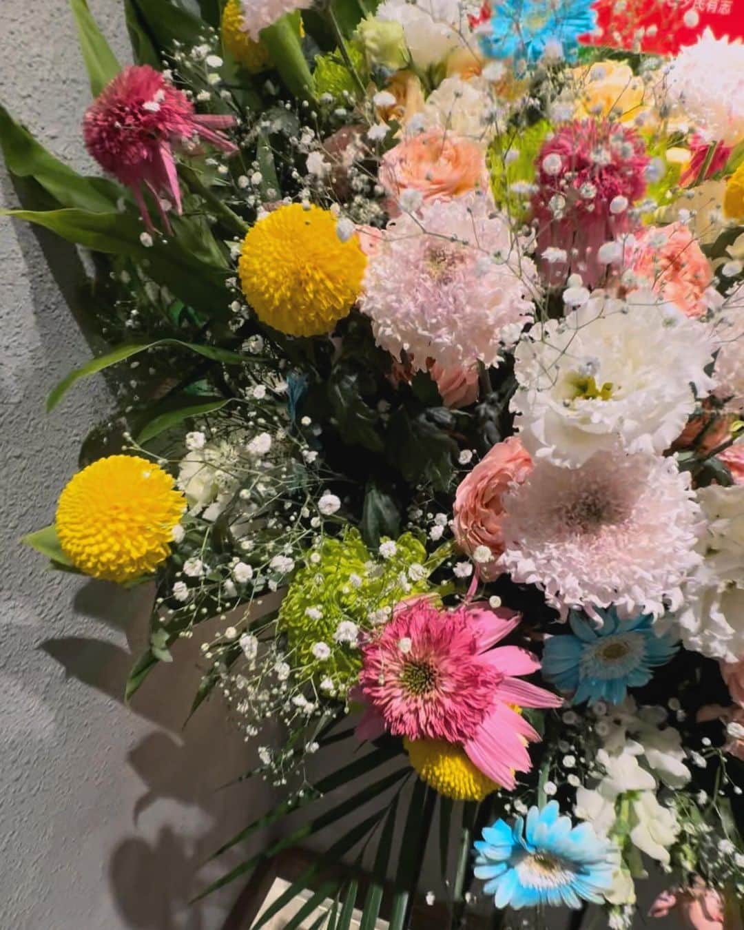 長谷川萌美さんのインスタグラム写真 - (長谷川萌美Instagram)「💐🎂💐❤️💐 あさひちゃんお誕生日おめでとう💐 昨日のバースデーライブの写真とともに🎂 新たな素敵な素敵な一年になりますように😌✨」11月21日 1時21分 - moemi_hasegawa