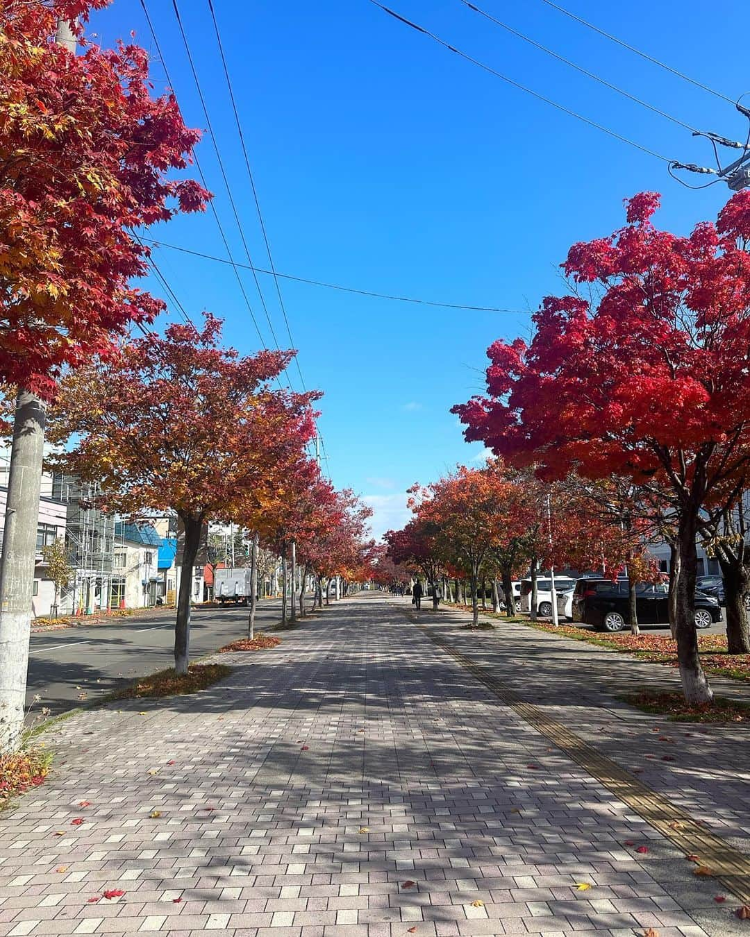 谷口彩菜のインスタグラム：「最近撮ったものたち🍂」