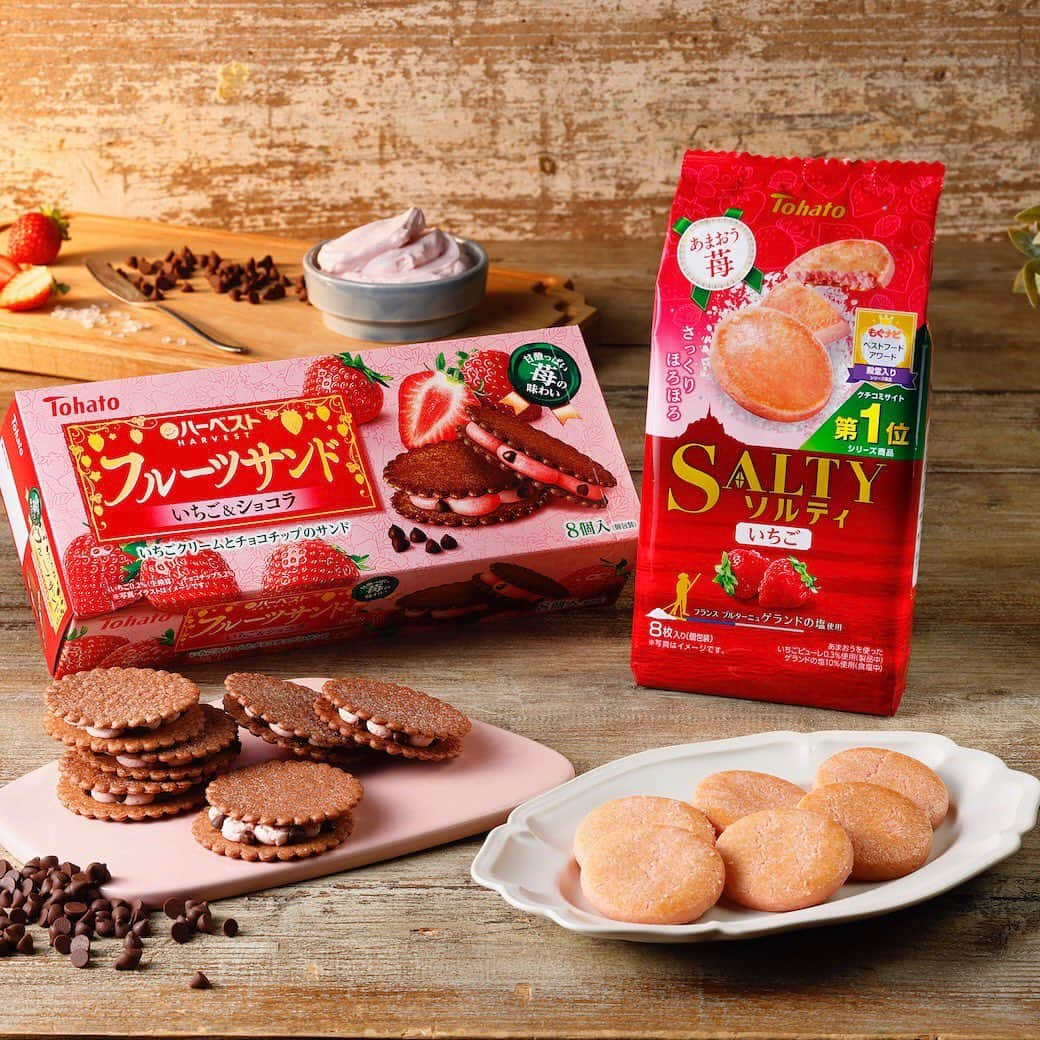 東ハト　キャンペーンのインスタグラム：「. ❣️甘酸っぱい苺味の商品が新登場❣️  🍓ハーベストフルーツサンド　いちご＆ショコラ ショコラ風味に香ばしく焼き上げたハーベストで、 甘酸っぱい苺のクリームと アクセントにチョコチップをサンドしました🍫✨  🍓ソルティ　いちご 甘酸っぱい苺の味わいを塩が引き立てるあと引くおいしさ💕 ほろほろと口の中で解けていくような食感です☺️  ＼　11月6日　全国発売　期間限定　／  #東ハト #tohato #トーハト #ハーベスト #ハーベストフルーツサンド #ソルティ #いちご #ショコラ #お菓子 #食欲の秋 #期間限定 #ビスケット #クッキー #いちごスイーツ #コーヒーブレイク #ティータイム」