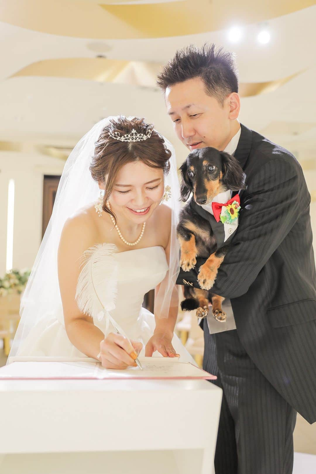 【公式】小さな結婚式さんのインスタグラム写真 - (【公式】小さな結婚式Instagram)「. @petit.wedding をフォローしてね♩ #小さな結婚式 をつけてのお写真投稿も大歓迎です♡ こちらの公式IGでリグラムさせていただきます＊ . 大切な家族の一員である わんちゃんも一緒に思い出に残る結婚式を♪ ペットとご一緒の結婚式も 小さな結婚式にお任せください♡ . >>#小さな結婚式大宮店 . ——————— #petitwedding #ラヴィファクトリー #前撮り #結婚式 #プレ花嫁 #卒花 #家族婚 #少人数結婚式 #ウェディング #wedding #bridal #weddingdress #花嫁 #挙式 #結婚式準備 #式場探し #日本中のプレ花嫁さまと繋がりたい #結婚式の思い出に浸る会 #結婚準備 #埼玉花嫁 #ウェディングフォト #花嫁コーディネート #結婚式挙式 #チャペル #愛犬 #結婚証明書 #ペットウェディング #2023冬婚」11月20日 17時00分 - petit.wedding