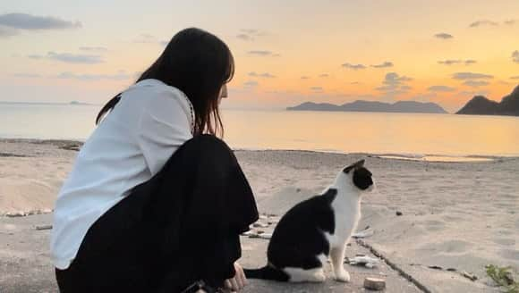 伊藤えみのインスタグラム：「朝から一緒に過ごせば夕方には似てくるよね🐈‍⬛  #猫 #cats #catstagram  #ilovecats #写真フォルダの中身公開中 #伊藤えみ #emiito  #島の猫ちゃん #moviestagram  #生き物大好き  #動物大好き #自然大好き」