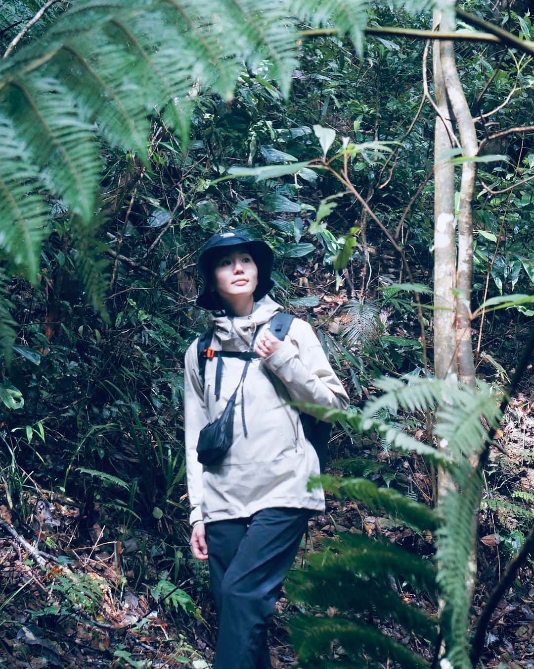 菖蒲理乃さんのインスタグラム写真 - (菖蒲理乃Instagram)「ベトナムに来ています。  今日はバッハマー国立公園を歩きました🥾 雨がふったりやんだりで、しっとりした森の雰囲気。 これもまた南国っぽくてよかったな。  明日が最終日。あっという間！ 下山後の風呂とビールでベトナム最後の夜を満喫します🍺  #ベトナム #国立公園  #bachma #ベトナム旅行 #trekking #nature #naturephotography #海外トレッキング #海外登山」11月20日 17時51分 - shobuayano