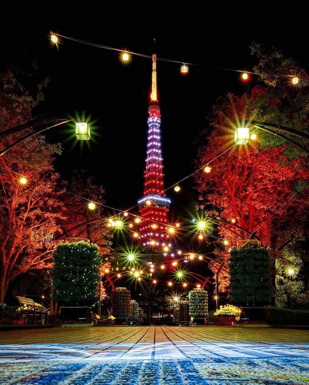 東京タワーさんのインスタグラム写真 - (東京タワーInstagram)「. 本日は、毎週月曜日20時〜22時まで 2時間限定で点灯する インフィニティ・ダイヤモンドヴェールの レギュラーライトアップ✨   11月のカラーは 紅葉色（Maple Red）です🍁   昨日（19日）まで都立芝公園で開催されていた 特設花壇&ライトアップ「花と光のムーブメント」  Your Tokyo Towerにも、たくさんの投稿を頂きました！   木々に照らされた赤いライトアップが まるで紅葉のようで🍁 紅葉色に輝く東京タワーとのコラボが素敵ですね〜！   本日は、Your Tokyo Tower🗼から @sound_astra1 さんのお写真をご紹介！   素敵なお写真をありがとうございました😊  ———————————  【 お知らせ 】  🆕 TikTok  東京タワーの公式TikTokアカウントが 開設されました！  詳細はプロフィールにあるリンクから↓ @tokyotower_official  ■ 公式LINE  東京タワー公式LINEでは 東京タワーのイベント情報を お届けしています！  詳細はプロフィールにあるリンクから↓ @tokyotower_official  ■ Your Tokyo Tower 🗼  # your_tokyotowerで あなたの東京タワーをリポスト！  @tokyotower_official の タグ付けをしてくれると見つけやすいよ！  皆様からの投稿 どしどしお待ちしております！  ———————————  #東京タワー #東京タワー🗼  #tokyotower #tokyotower🗼  #紅葉 #紅葉🍁」11月20日 17時58分 - tokyotower_official